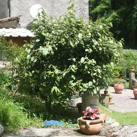 Il Boscaccio Fornovolasco