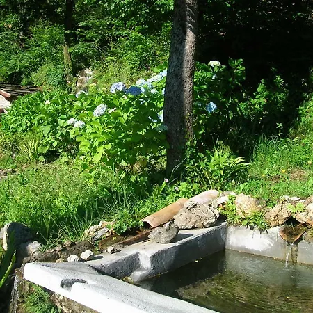 Ferienhaus Il Boscaccio