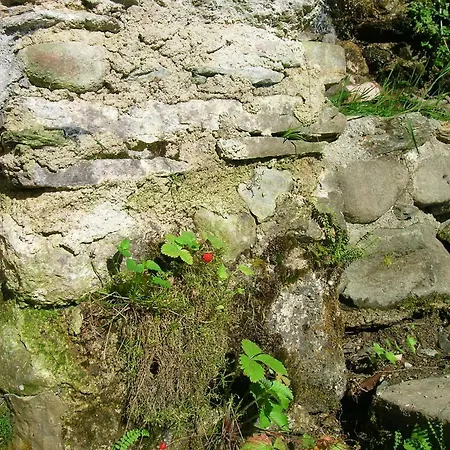 Ferienhaus Il Boscaccio *