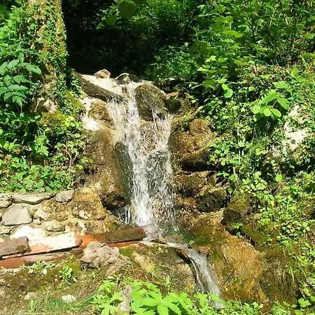 Il Boscaccio Ferienhaus